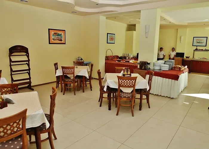 Aktinia Солнечный берег