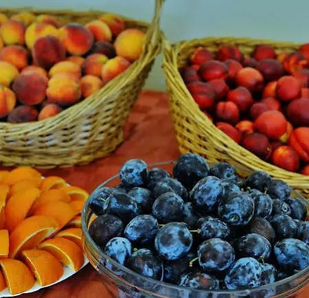 Ξενοδοχείο Aktinia